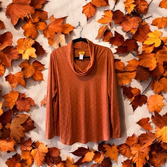 Ruby Rd. Rust Orange Cowl Neck Top - Picture 5 of 16